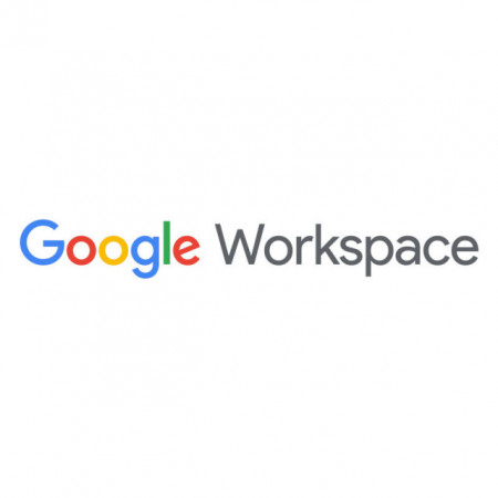 Google Workspace Business Plus, subscripție 12 luni