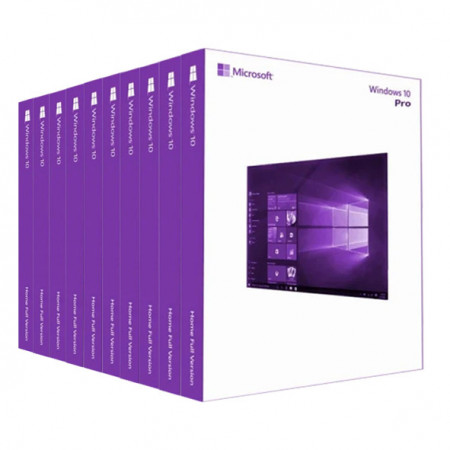 10 X Microsoft Windows 10 Professional, 64 Bit, Engleza, OEM, DVD