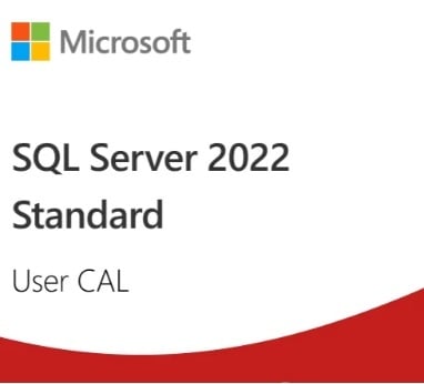 Licență SQL Server 2022 - 1 User CAL