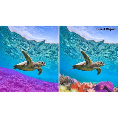 Licență Adobe Photoshop &amp; Premiere Elements 2026 - 3 Ani - Img 2