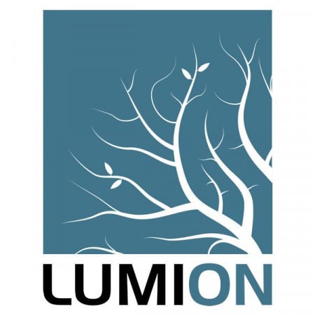 Licență Lumion Standard 2024, 1 an, 1 utilizator