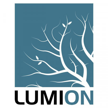 Lumion Standard 12, 1 an, 1 utilizator