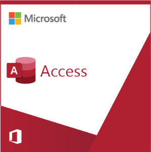 Licenta Access 2021 EDU Perpetua