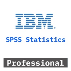 IBM SPSS Statistics Comercial Edition Professional