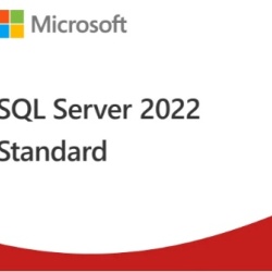 Licență SQL Server 2022 Standard Edition