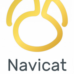 Navicat Premium v16 (Windows) - licenta permanenta