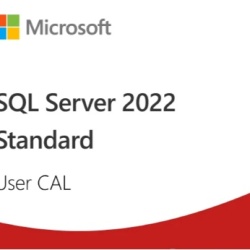 Licență SQL Server 2022 - 1 User CAL