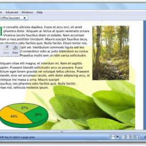 Licență Corel PDF Fusion ENG - Licenta permanenta - Img 2
