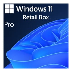 Licență Microsoft Windows 11 Pro, Retail/Box, USB