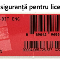 Licență Microsoft Windows 11 Home, Retail/FPP, USB - Img 2