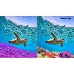 Licență Adobe Photoshop & Premiere Elements 2026 - 3 Ani - Img 2