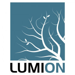 Lumion Standard 12, 1 an, 1 utilizator