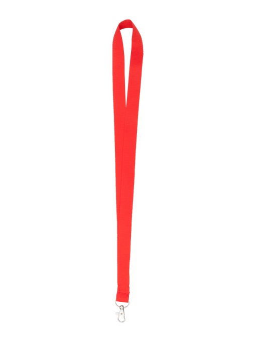 AP™ Lanyard