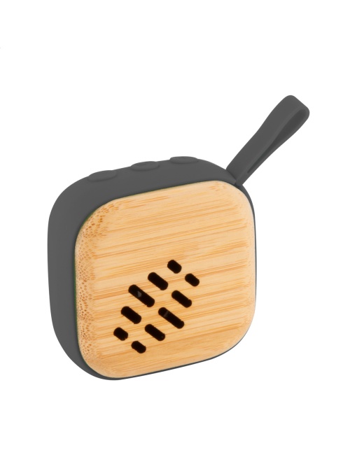 AP™ Portable Speaker