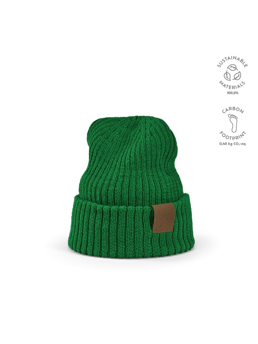 AO™ Cobain Beanie rPET