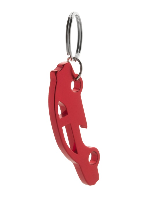 AP™ Keychain
