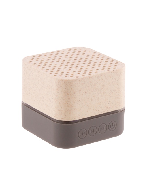 AP™ Portable Speaker
