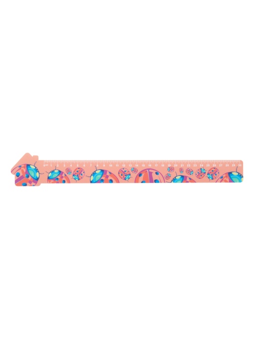AP™ Riglă Casă, 30 Cm