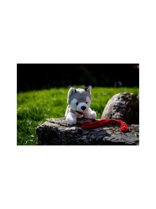 AX™ husky de pluș | Trooper