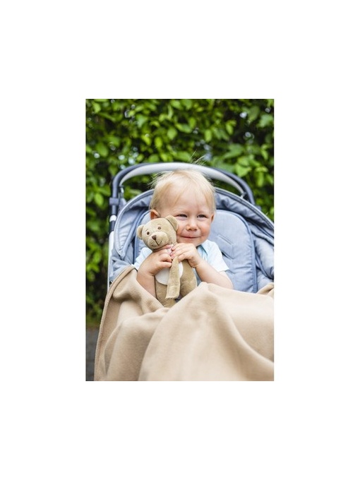 AX™ Plush teddy bear with blanket | Phil