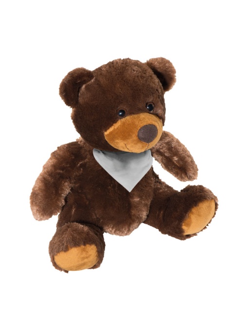 CM™ Teddy Bear - Large