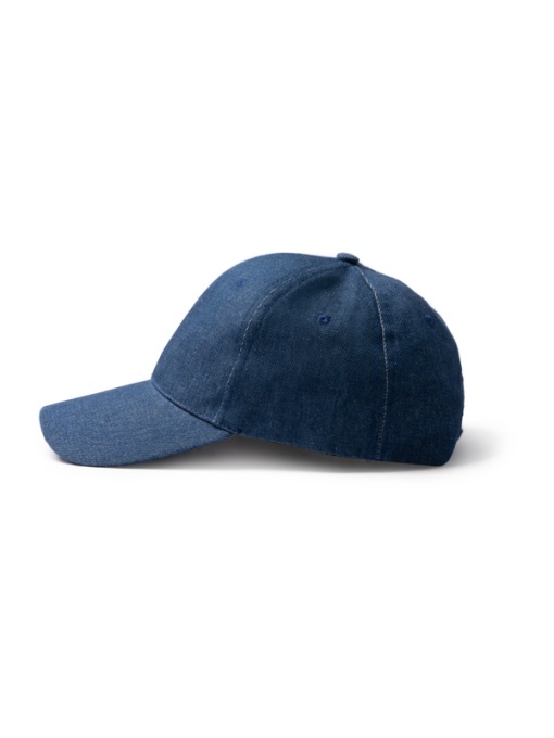 STA™ Isbud - Cap - Img 1
