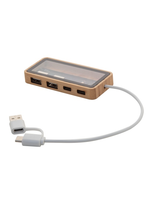 AP™ Hub Usb Transparent
