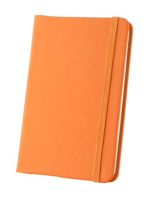 AP™ Notebook