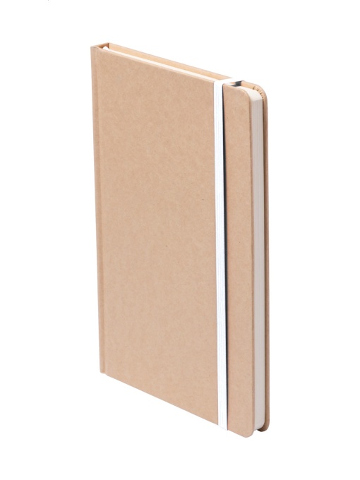 AP™ Notebook