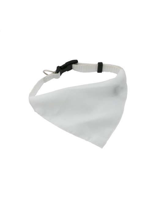 AP™ Zgarda
