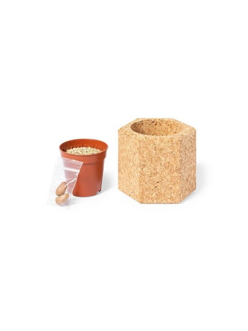 AX™ Cork pot, pine seeds