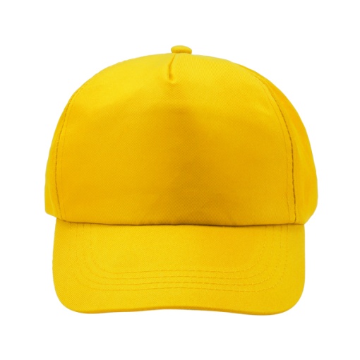 STA™ CALISTO