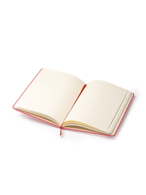 STA™ Soral - Journal - Img 1