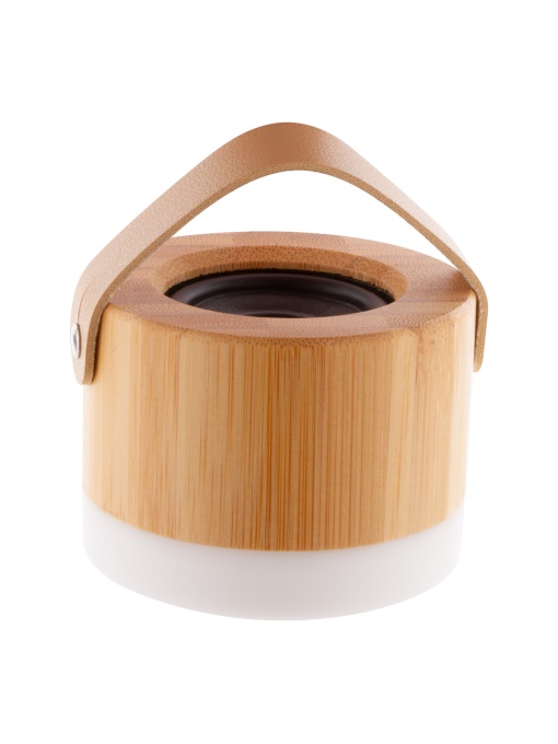 AP™ AP55 Portable Speaker