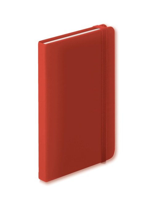 AP™ Notebook