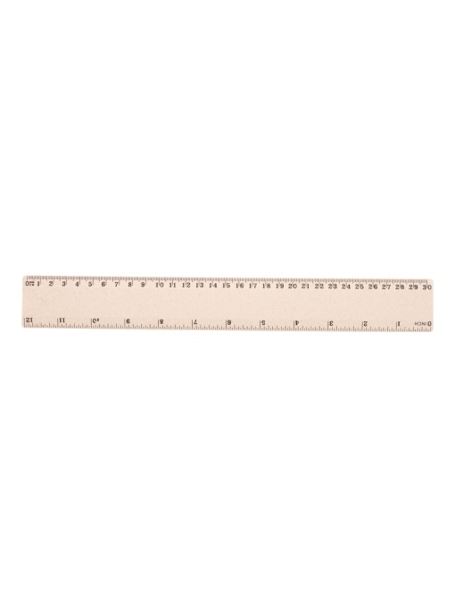AP™ Ruler