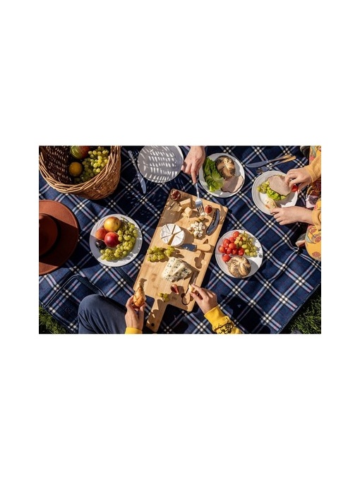 AX™ Pătură de picnic | Lane