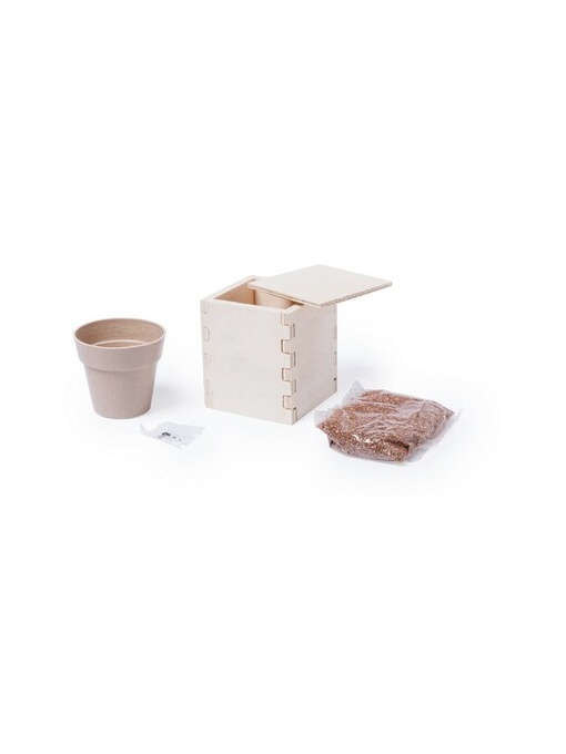 AX™ Peppermint with flower pot, wooden box
