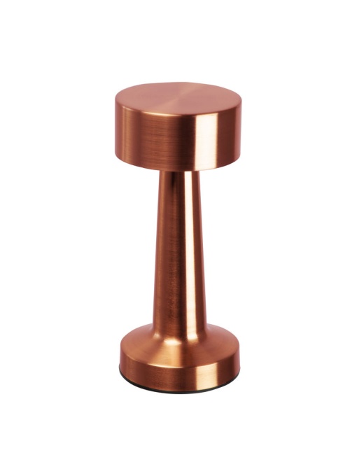 CM™ Desk lamp in stainless steel with battery