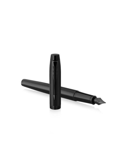 mak™ Fountain Pen IM Achromatic
