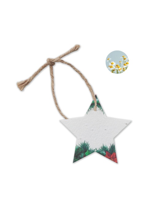 MO™ Starseed – Ornament de Crăciun cu semințe