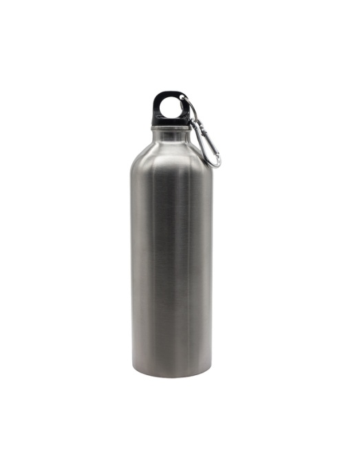 Royal™ CAMINO steel water bottle 800 ml, silver