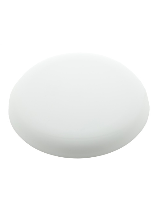 AP™ Frisbee