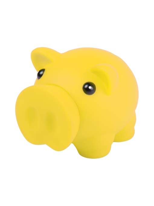 AP™ Piggy Bank