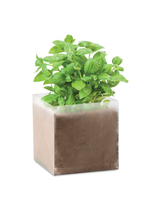 MO™ Basil – Compost cu semințe "BASIL"