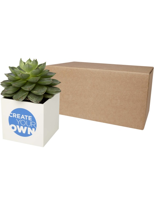 PF™ Hey Pots aluminium planted pot - succulent