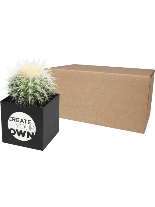 PF™ Hey Pots aluminium planted pot - cactus