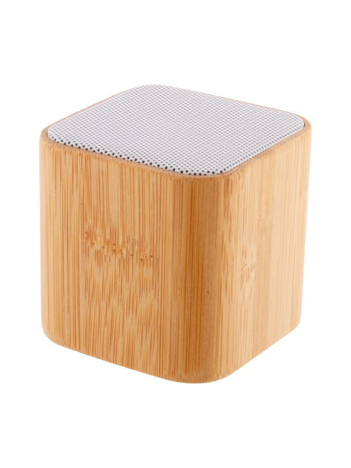 AP™ AP5 Portable Speaker