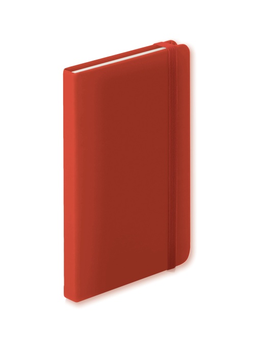 AP™ Notebook