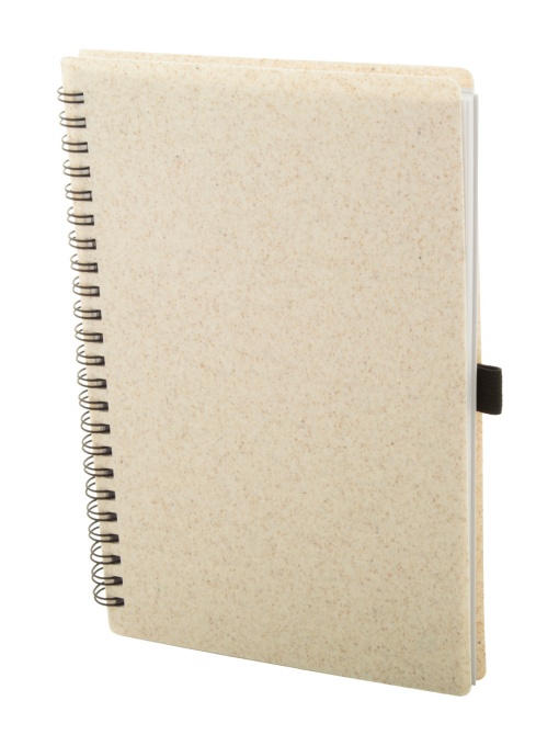 AP™ Notebook